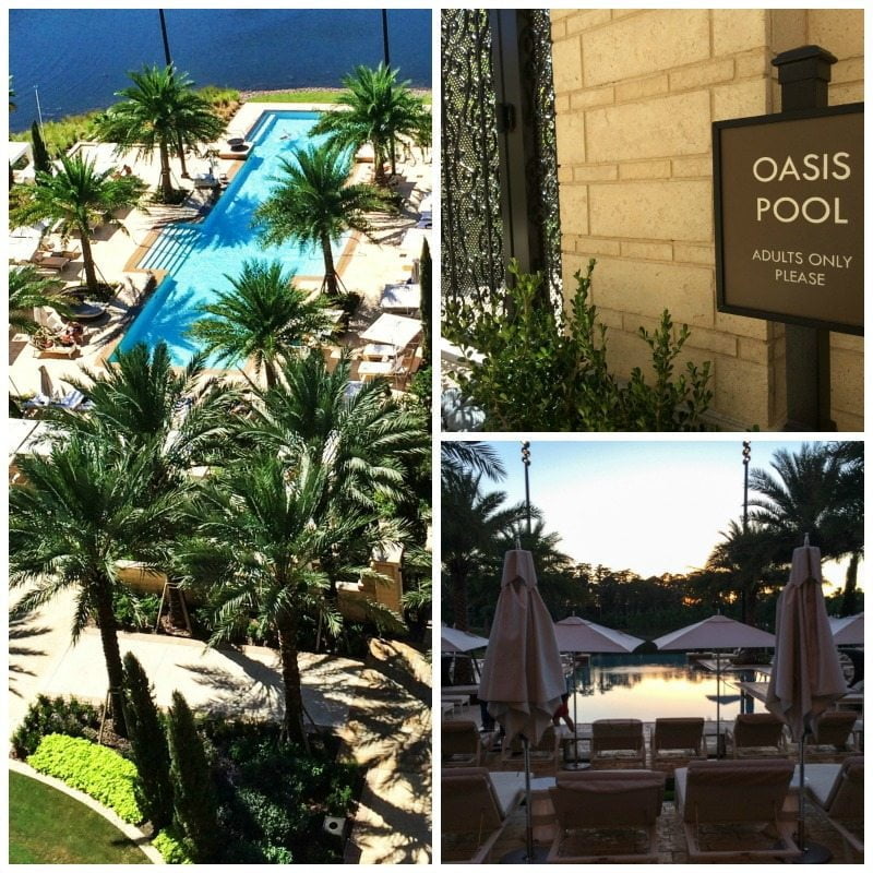Four Seasons Oasis Pool Collage