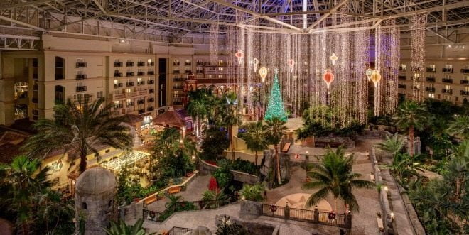 gaylord palms mistletoe