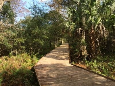 The boardwalk trail at Lake Lotus Park