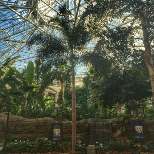 Gaylord Palms atrium
