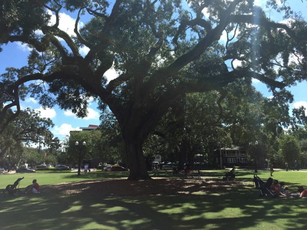 20 Things to Love About the Farmer's Market at Lake Eola