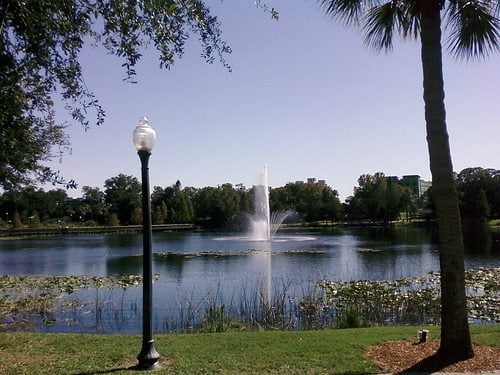 lake lily
