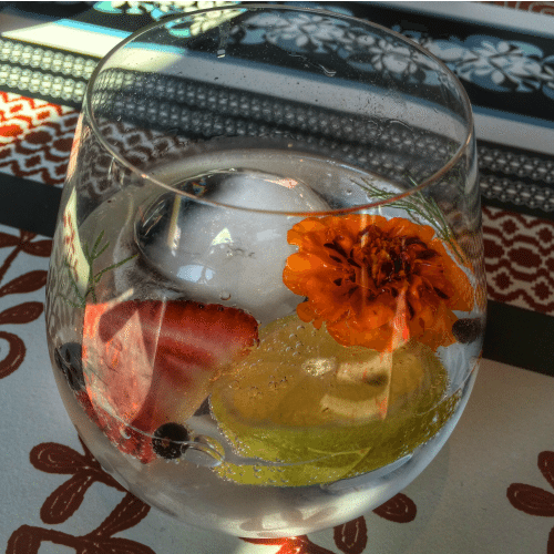 capa cocktail san Agustin Gin and Tonic