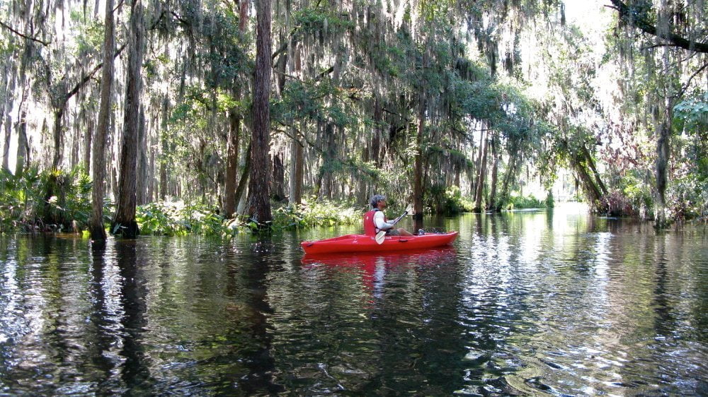 Grande Lakes Orlando Eco Tours