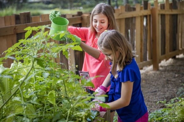 Kids work in the garden as part of the Ritz Kids program