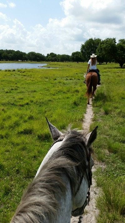 Horseback riding is a peaceful and wonderful experience. Trail rides are safe for the novice and given by expert horsewomen Kara and Emily.