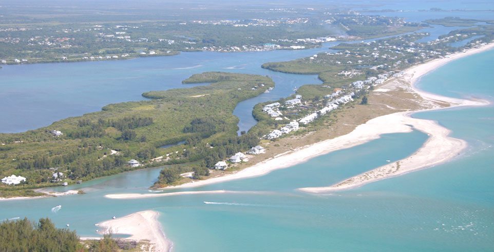 Vue d'ensemble de l'île aux palmiers