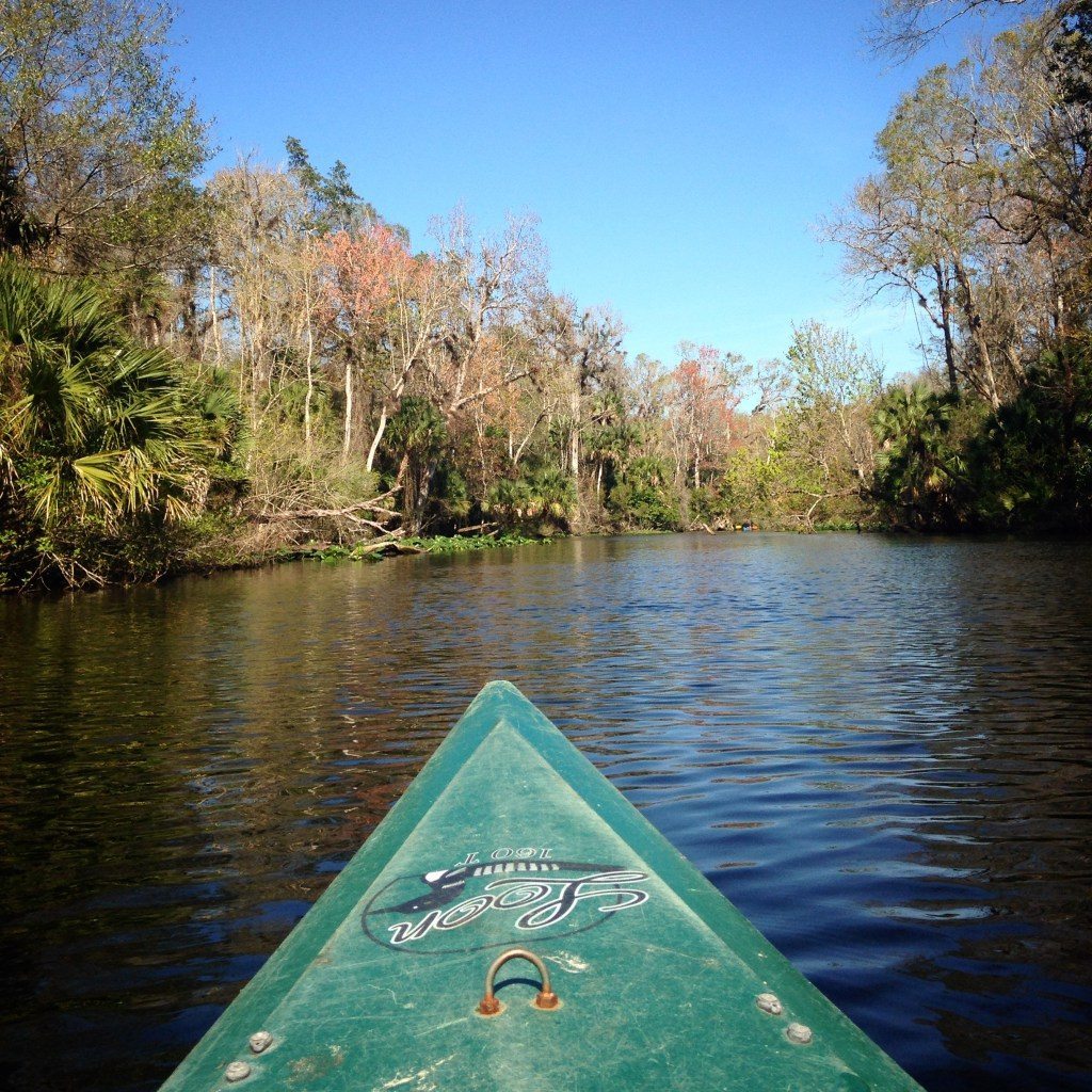 kayak wekiwa-springs by S Patterson