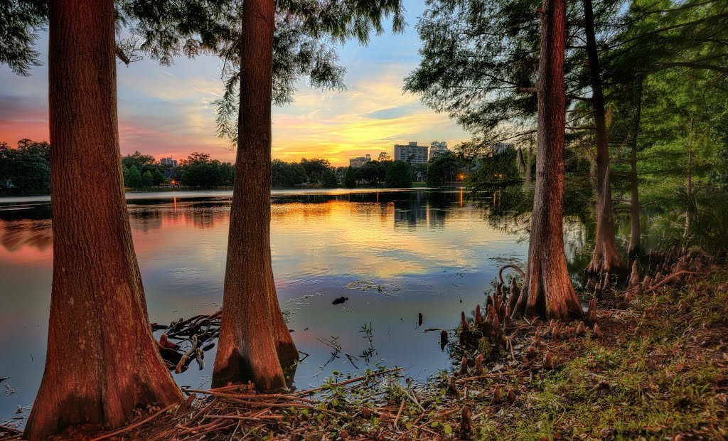 lake-cherokee-660