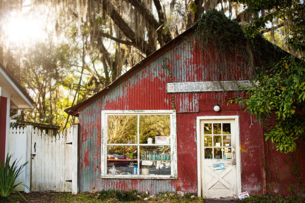 micanopy-001