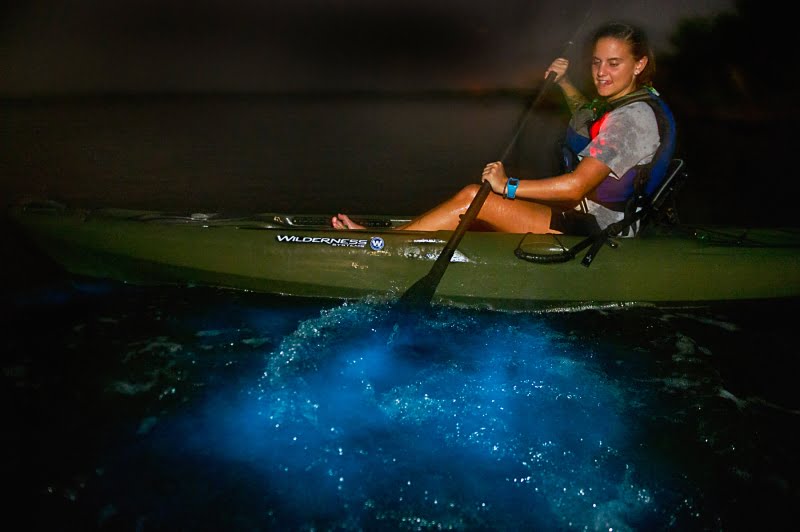 Photo credit: A Day Away Kayak Tours