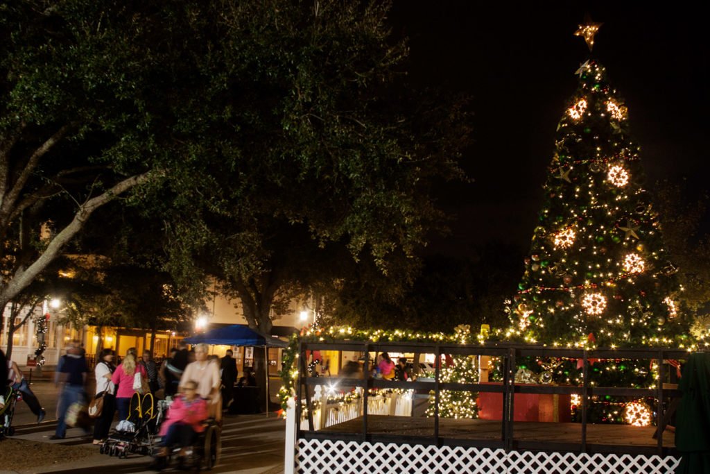 celebration-town-center-tree