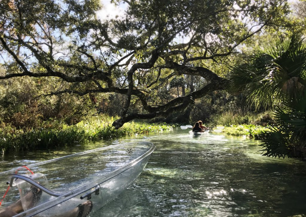 Exploring Rock Springs Run in Central Florida in a clear kayak
