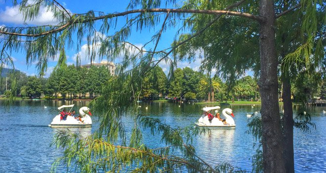 Lake Eola swan boat rides orlando events