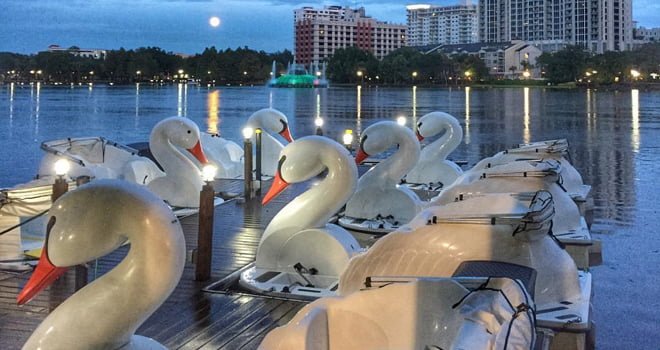 Lake Eola Swan Boats