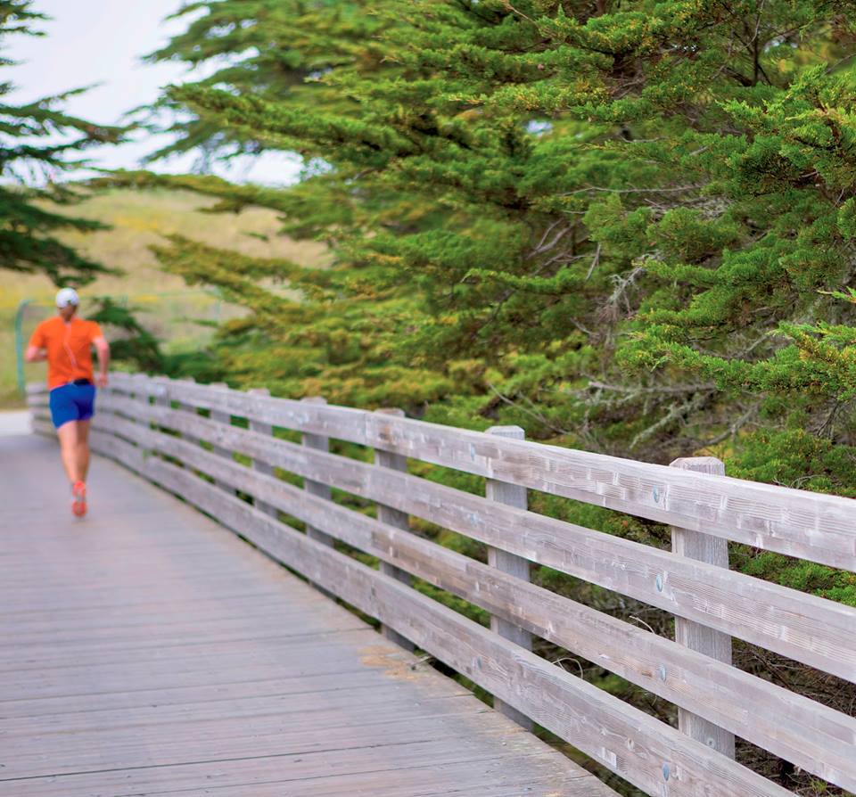 Thanksgiving Fun Runs in Orlando - Grande Lakes Gobbler 5k