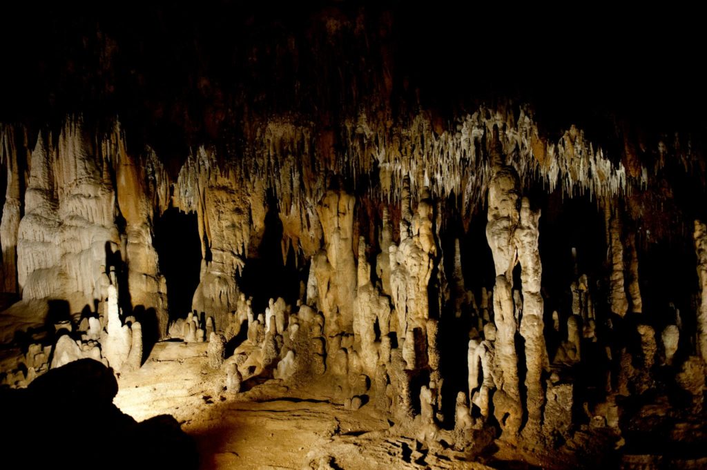 Florida Caverns State Park