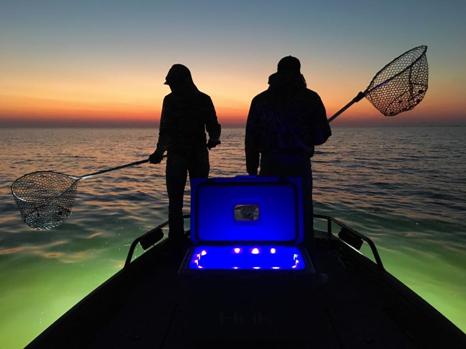 Florida Crabbing Charters