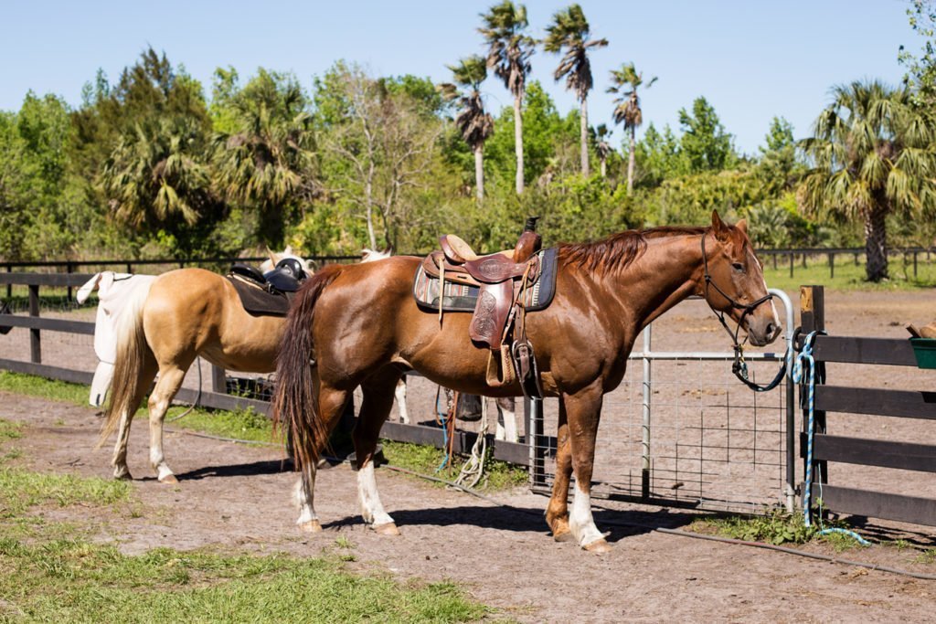 Hidden Palms Ranch trail rides in Sanford FL