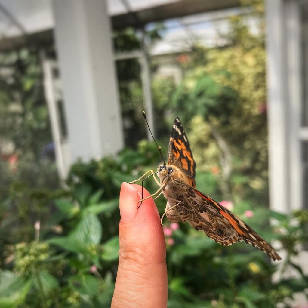 Central Florida Gardens You Can Visit For Free Near Orlando