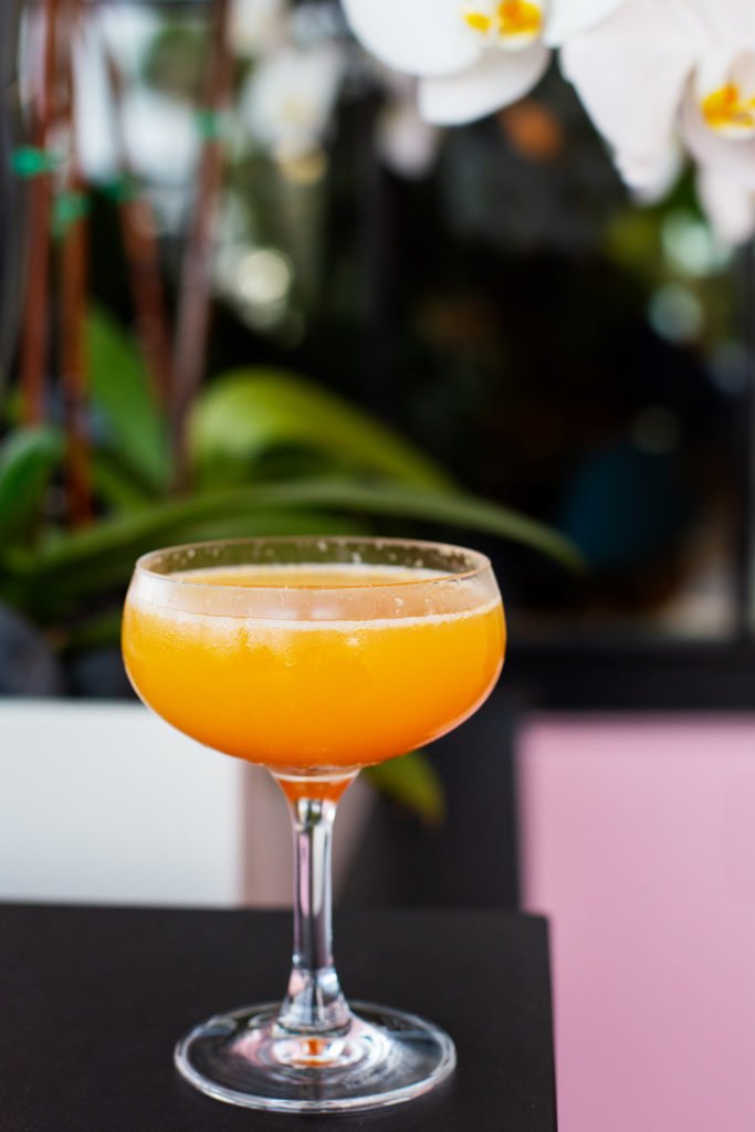 The Glass Knife blood orange mimosa