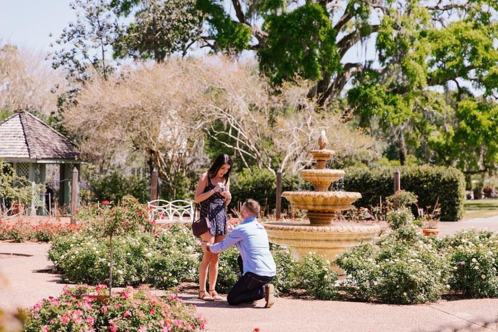 Leu Gardens Surprise Orlando Wedding Proposal