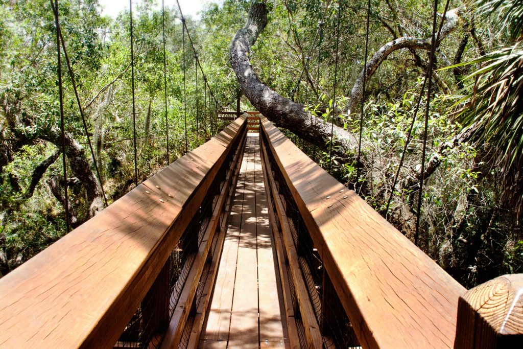 Florida State Parks - Myakka River State Park