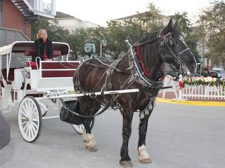 Starlit Horse-Drawn Carriage Rides in Celebration