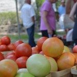 Lake Lily Farmers Market - Orlando Date Night Guide