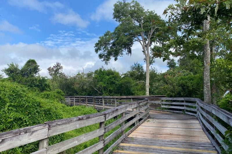 Boardwalk at Lake Lotus Park