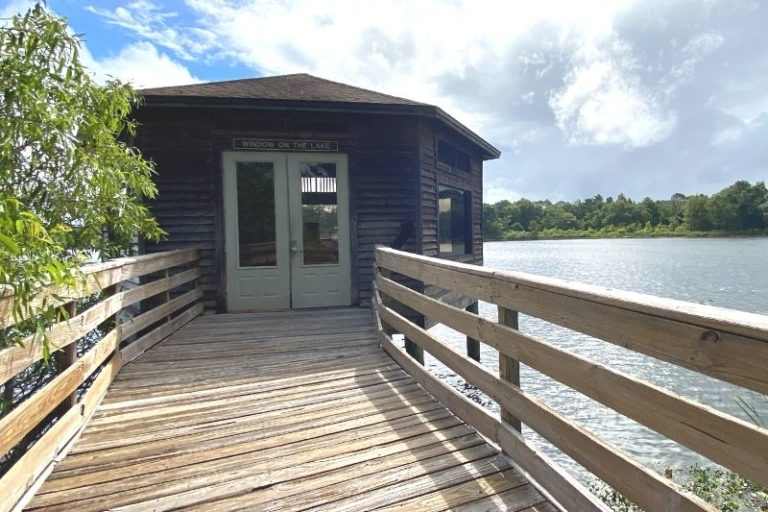 Outdoor Date Idea: Discover Lake Lotus Park