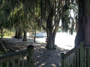 winter park beach 4 small