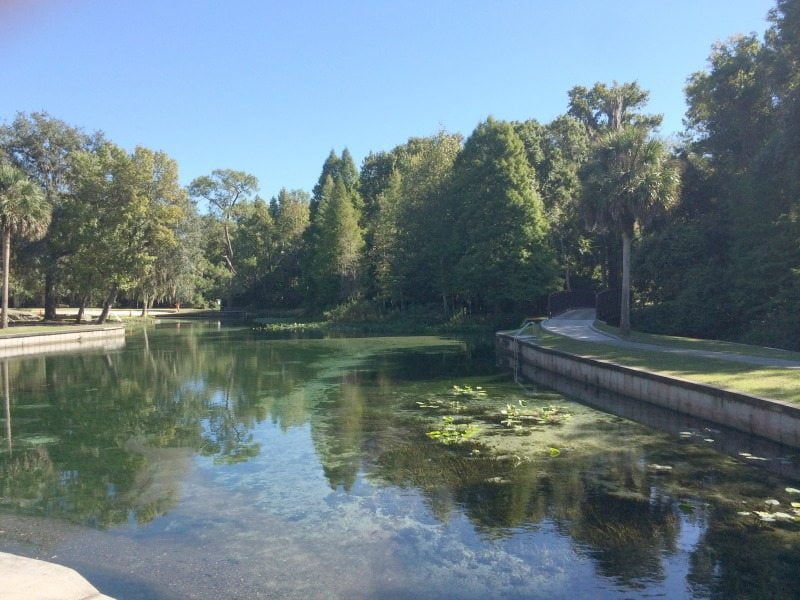 swimming hole
