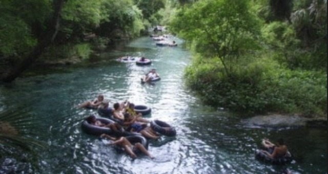 Admission to Kelly Park is just $3 and tube rentals are $3-$5 outside of the park
