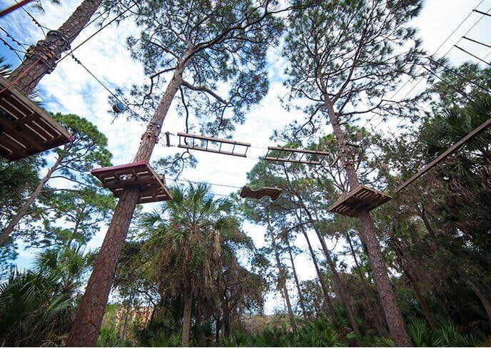 Zip Lining in Central Florida at Treetop Trek at Brevard Zoo