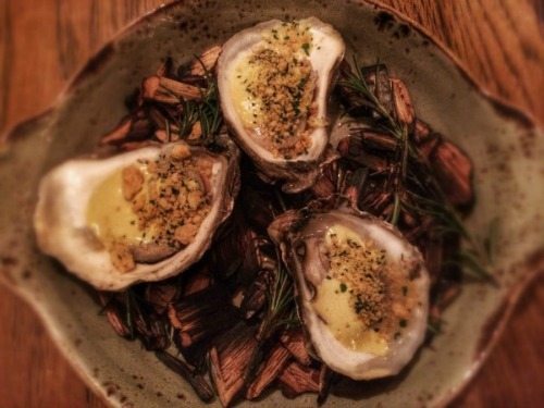 oysters
