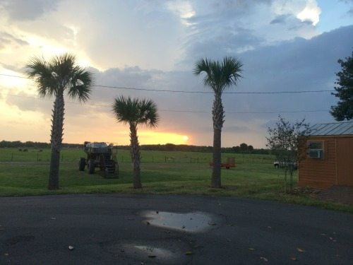 westgate river ranch sunset