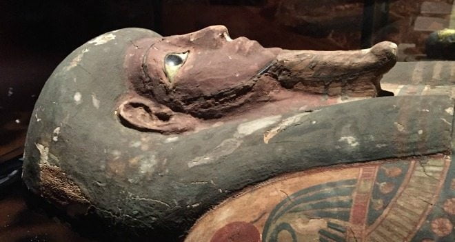 Mummies of the World Exhibit Opens at Orlando Science Center