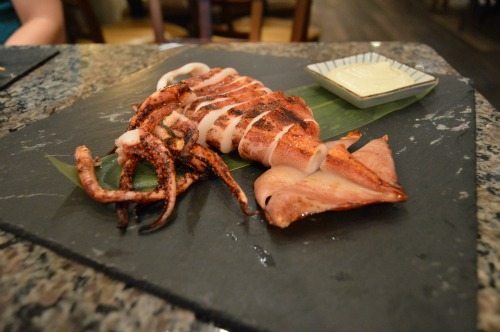 umi squid