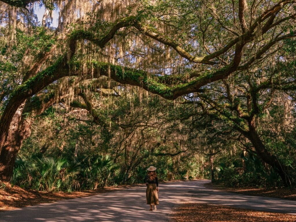 Walking among the oak trees at Fort Clinch Florida State Park