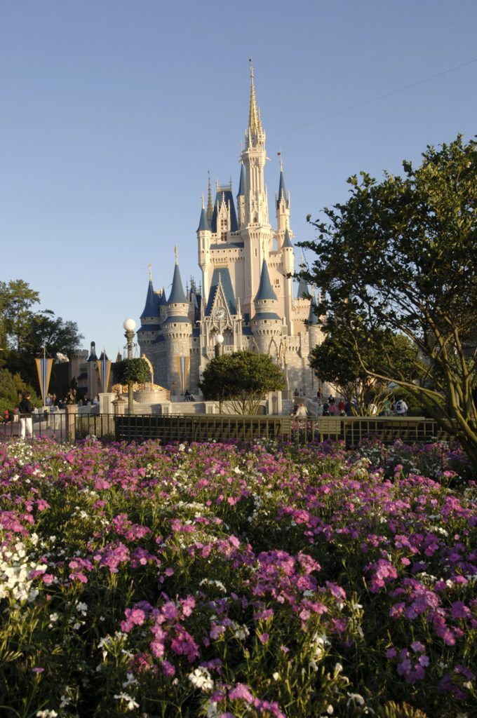 Get Engaged in Orlando