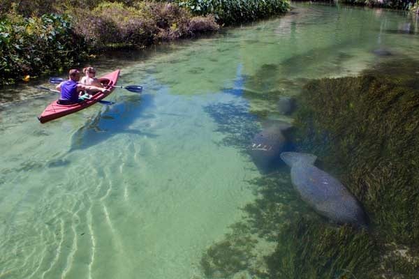 Weeki Wachee kayak by Weeki Wachee kayak rental Kayaking Central Florida 