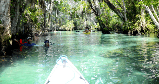 Shopping in Orlando Orlando Travel Guide - KAYAK