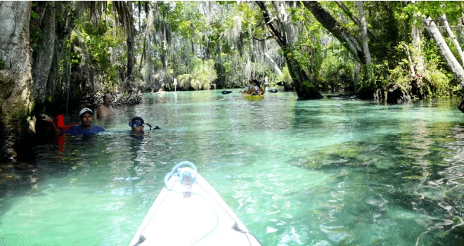 Kayaking Central Florida