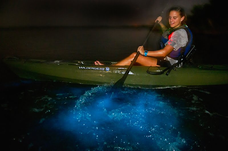 Best things to do in Orlando - Bioluminescent kayaking