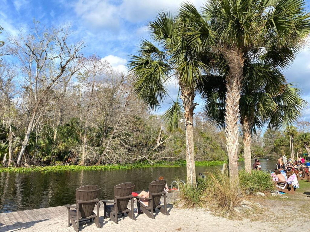 Sitting Along the River at Wekiva Island 