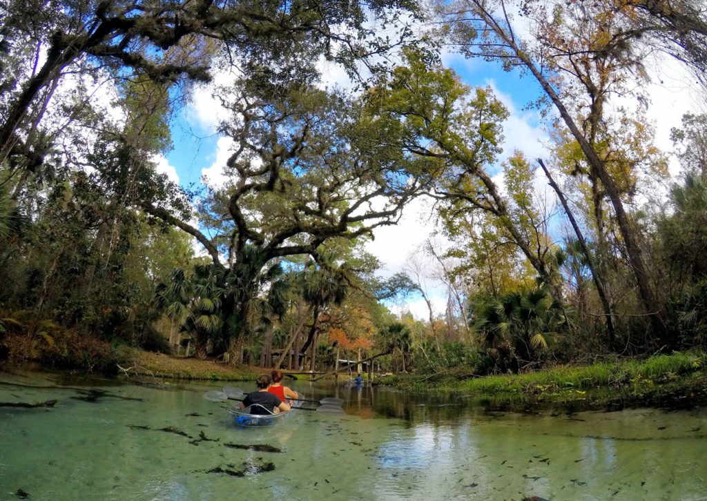 Exploring Rock Springs Run in Central Florida in a clear kayak