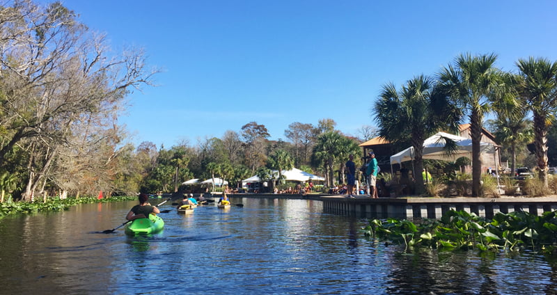 7 Things to Do at Wekiva Island