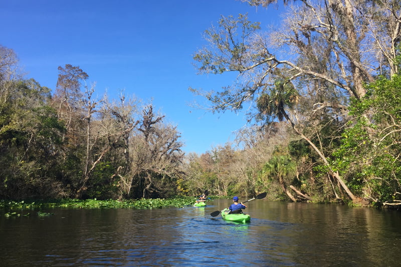 7 Things to Do at Wekiva Island