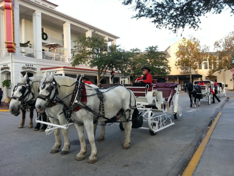 Enjoy a horse-drawn carriage ride in Celebration, FL